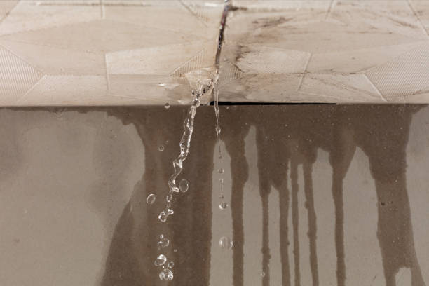 Professional Water Damage Repair technician working in Notrees, TX